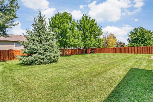 Backyard1_5-1280.jpg