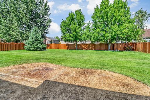 Backyard1_3-1280.jpg