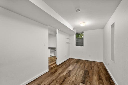 Second lower level bedroom