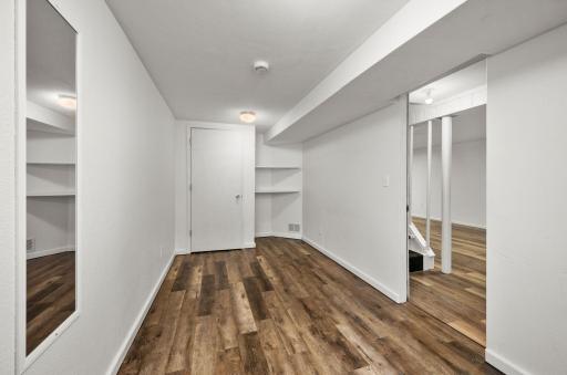 Another view of the lower level bedroom