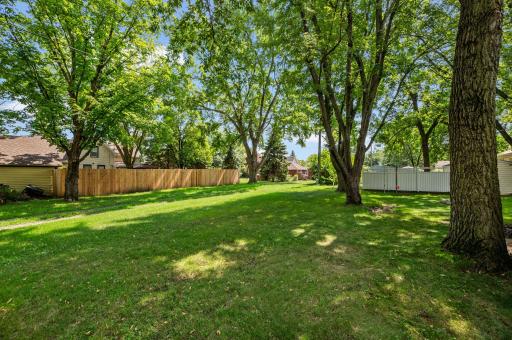 Wonderful yard