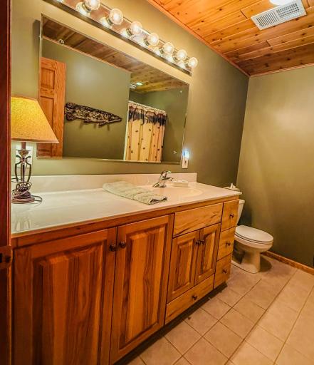 Down Stairs Bathroom