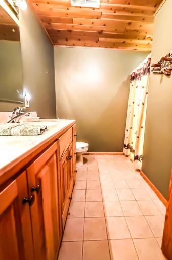 Down Stairs Bathroom