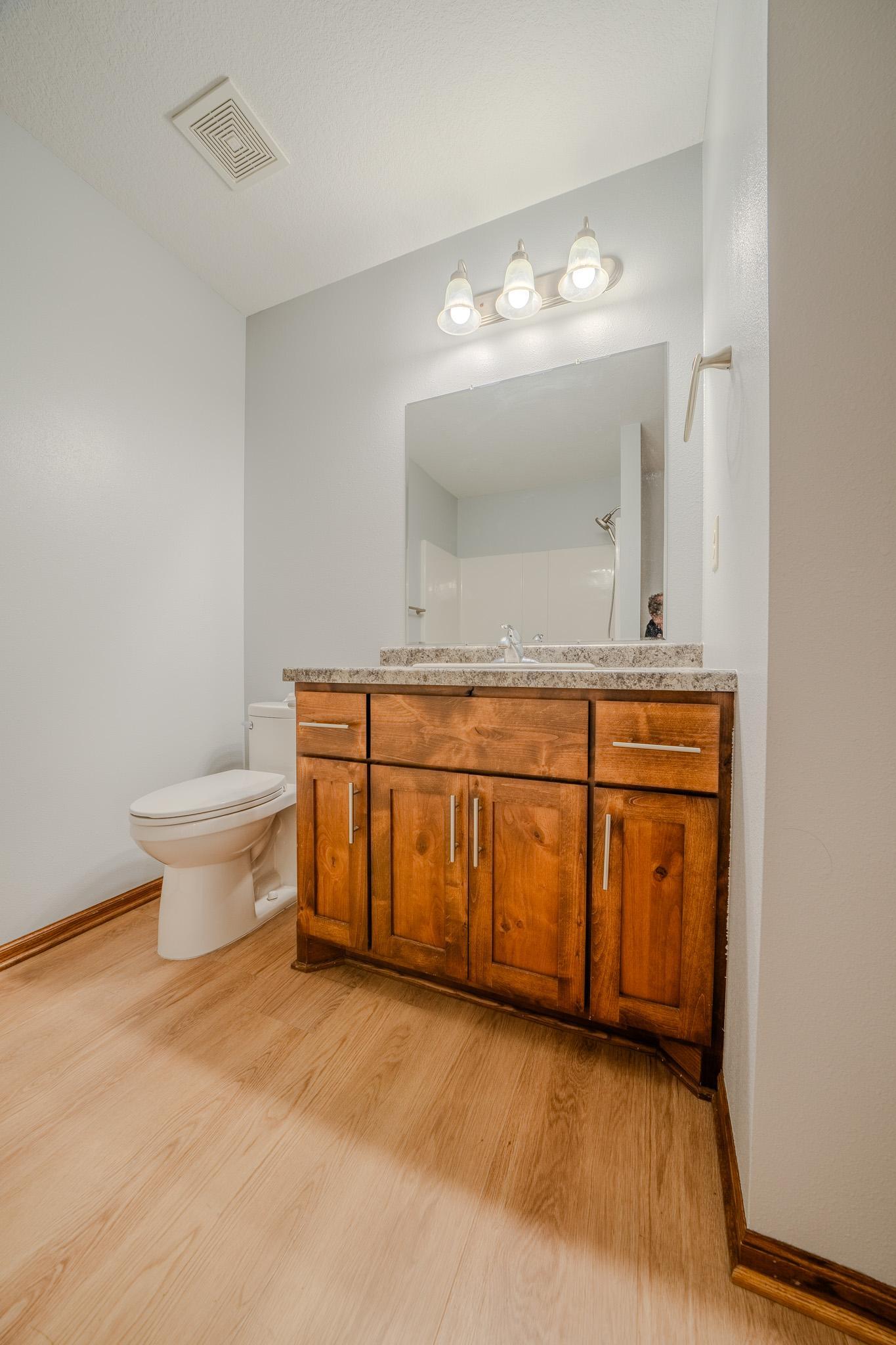 Lower-level bathroom full