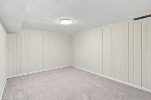 Basement Living Room