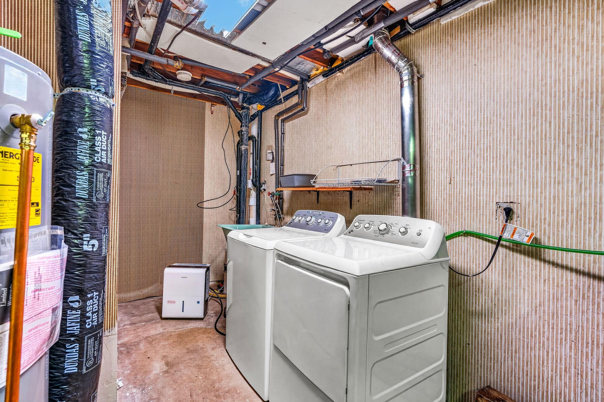 28-web-or-mls-DSC04065.jpg