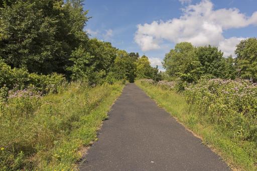 Walking Trails