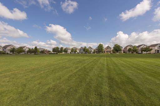 Ample Green Space
