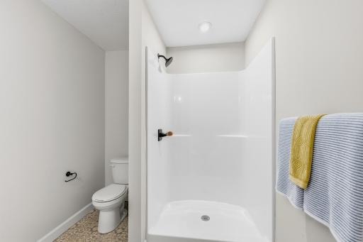 Lower level bathroom
