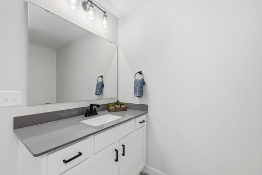 Lower level bathroom
