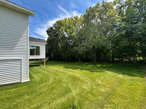 Side view of backyard