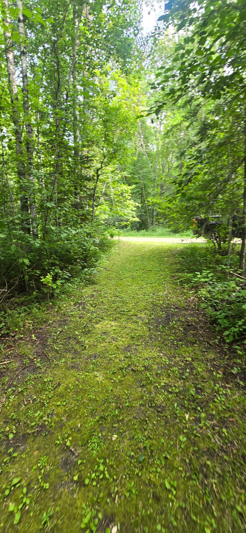 20260814_142000.jpg