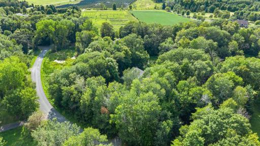 See Wildlife Such as Owls, Hawks, Geese, Ducks, Sandhill Cranes, Turkey, Deer, Otter, and Muskrat