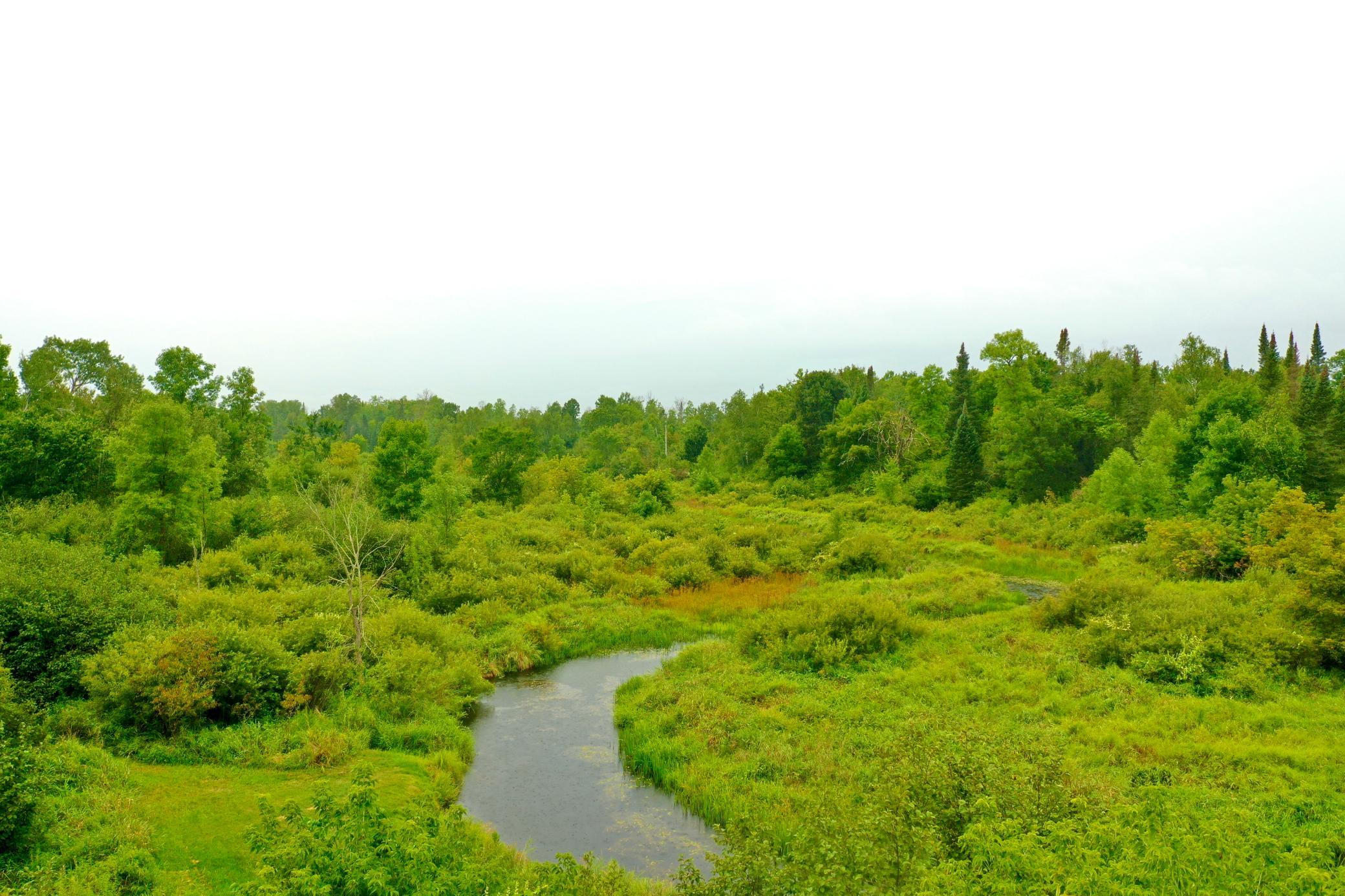 DJI_0230.JPG