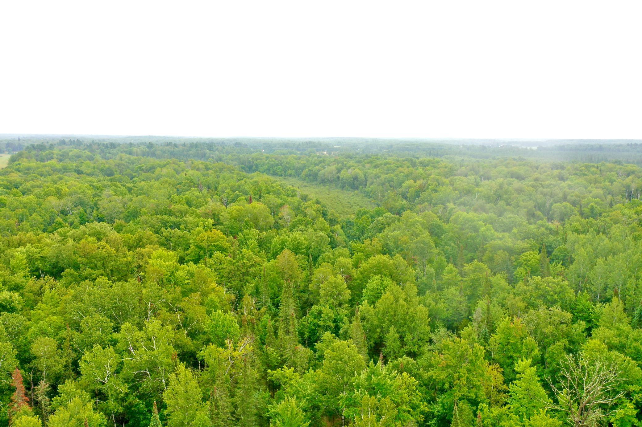 DJI_0233.JPG