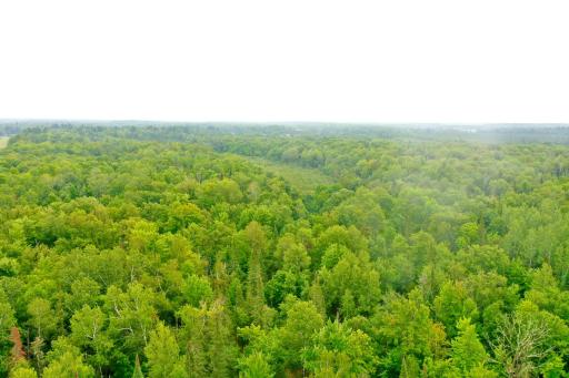 17001 White Spruce Road, Finlayson, MN 55735