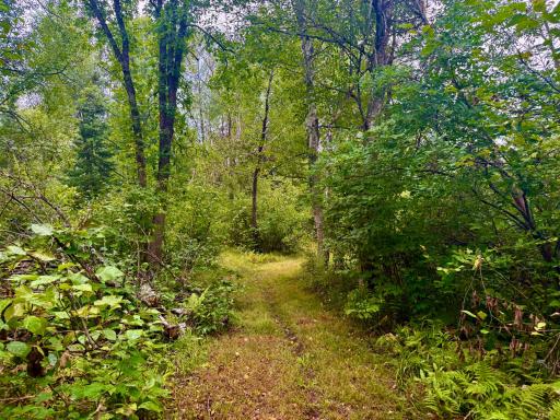 17001 White Spruce Road, Finlayson, MN 55735