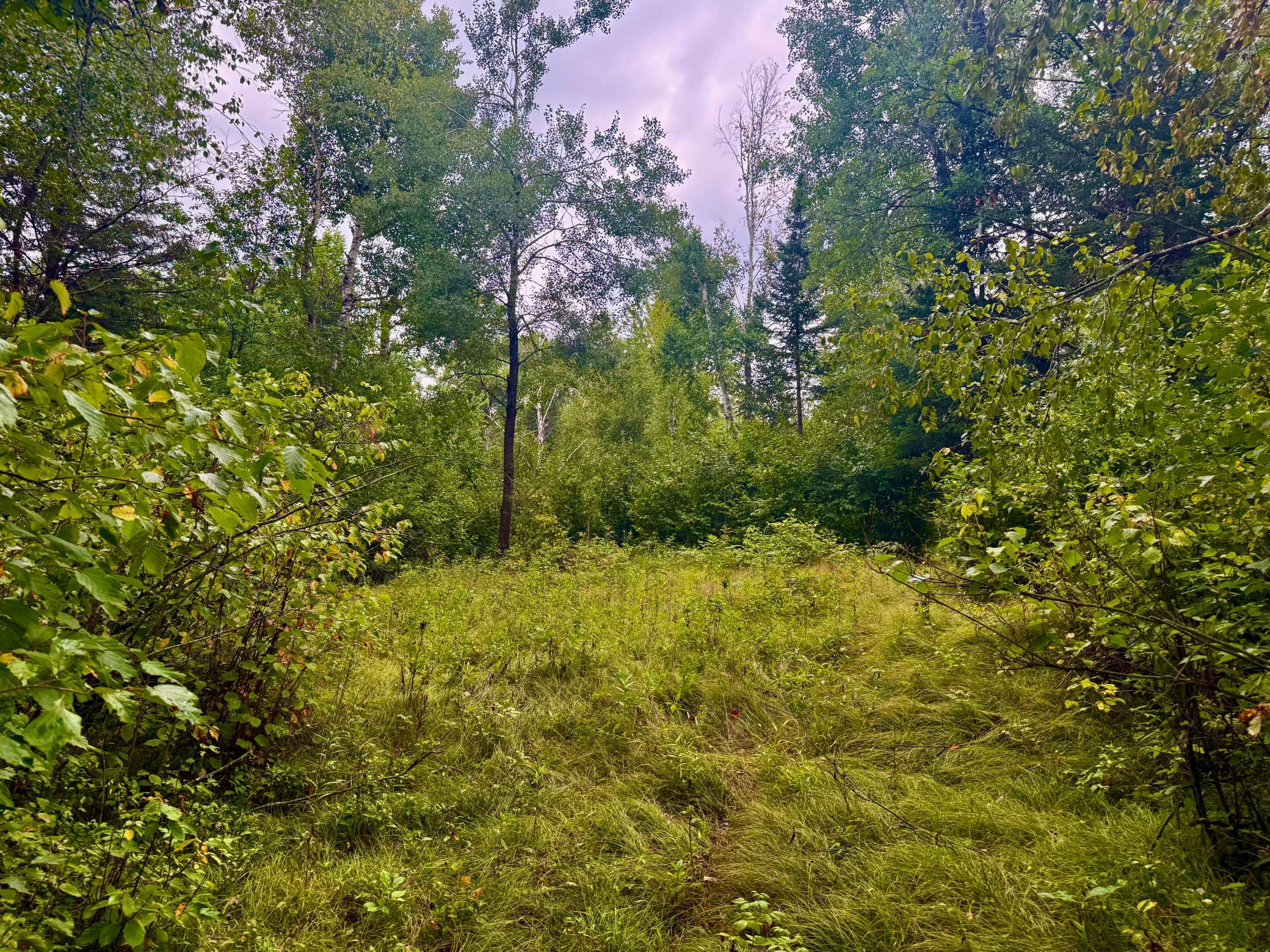 IMG_6189.jpeg