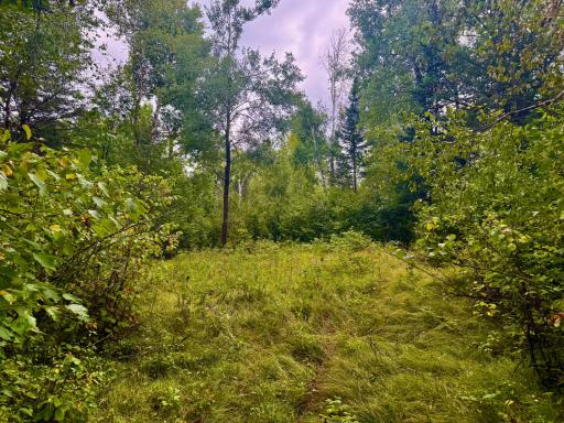 17001 White Spruce Road, Finlayson, MN 55735