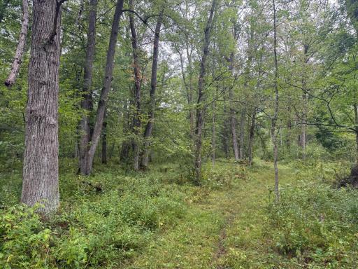 17001 White Spruce Road, Finlayson, MN 55735
