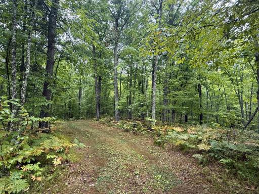17001 White Spruce Road, Finlayson, MN 55735