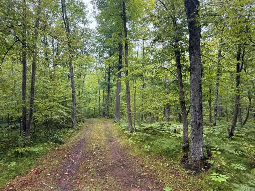 17001 White Spruce Road, Finlayson, MN 55735
