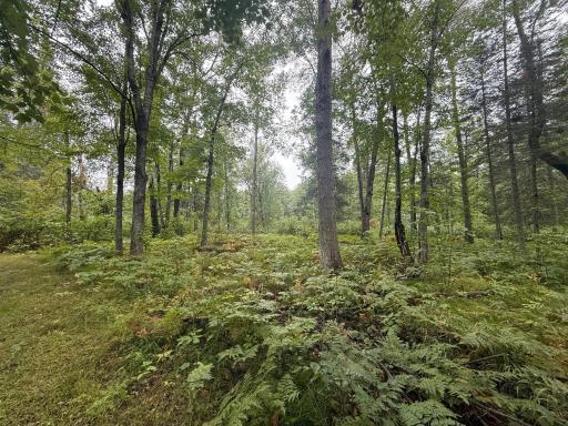 17001 White Spruce Road, Finlayson, MN 55735