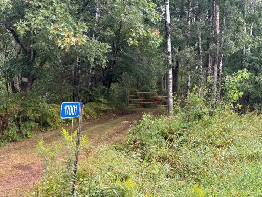17001 White Spruce Road, Finlayson, MN 55735