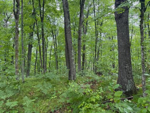 17001 White Spruce Road, Finlayson, MN 55735