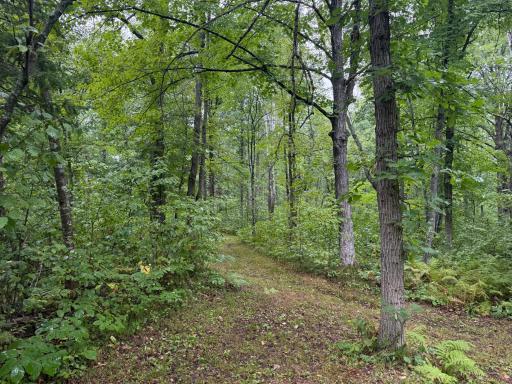 17001 White Spruce Road, Finlayson, MN 55735