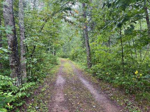 17001 White Spruce Road, Finlayson, MN 55735