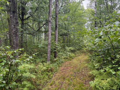 17001 White Spruce Road, Finlayson, MN 55735