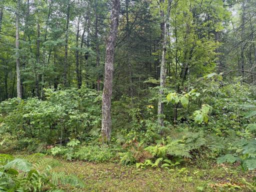 17001 White Spruce Road, Finlayson, MN 55735
