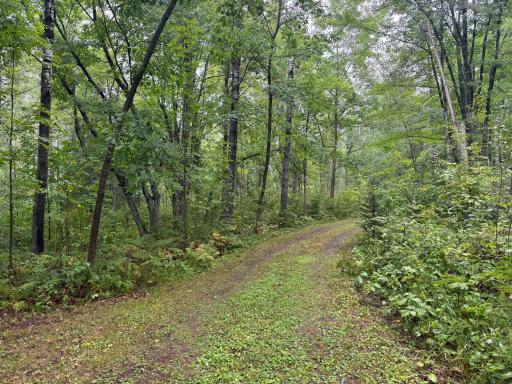 17001 White Spruce Road, Finlayson, MN 55735
