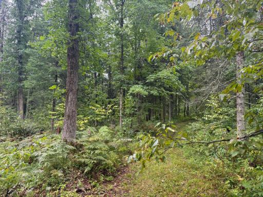 17001 White Spruce Road, Finlayson, MN 55735