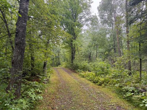 17001 White Spruce Road, Finlayson, MN 55735