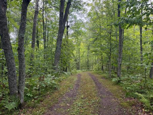17001 White Spruce Road, Finlayson, MN 55735