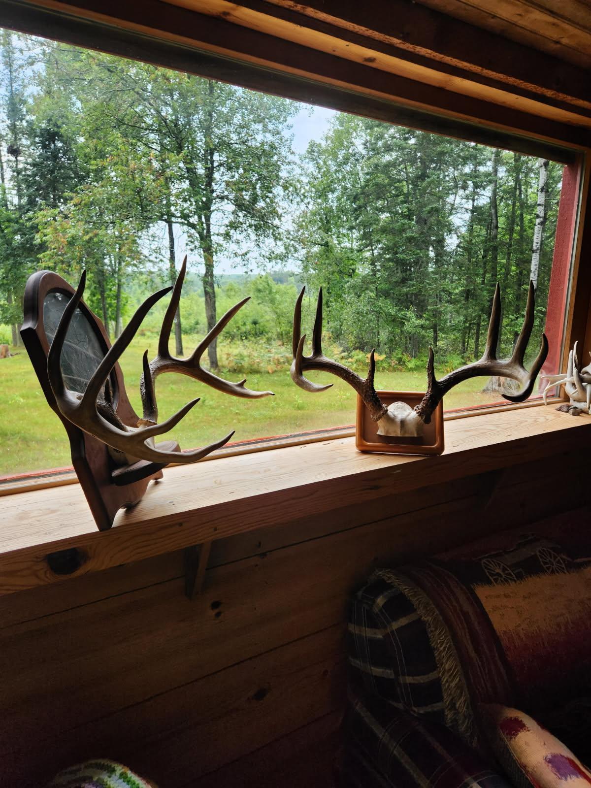 image000001.jpg
