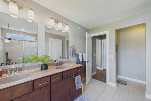 The primary bathroom. Ahead and to the right is the private toilet area. Ahead through the door is the walk-in closet.