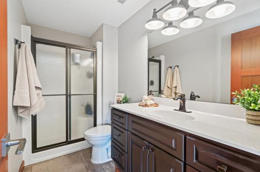 Updated lower-level bathroom featuring a spacious vanity, walk-in shower and modern finishes.