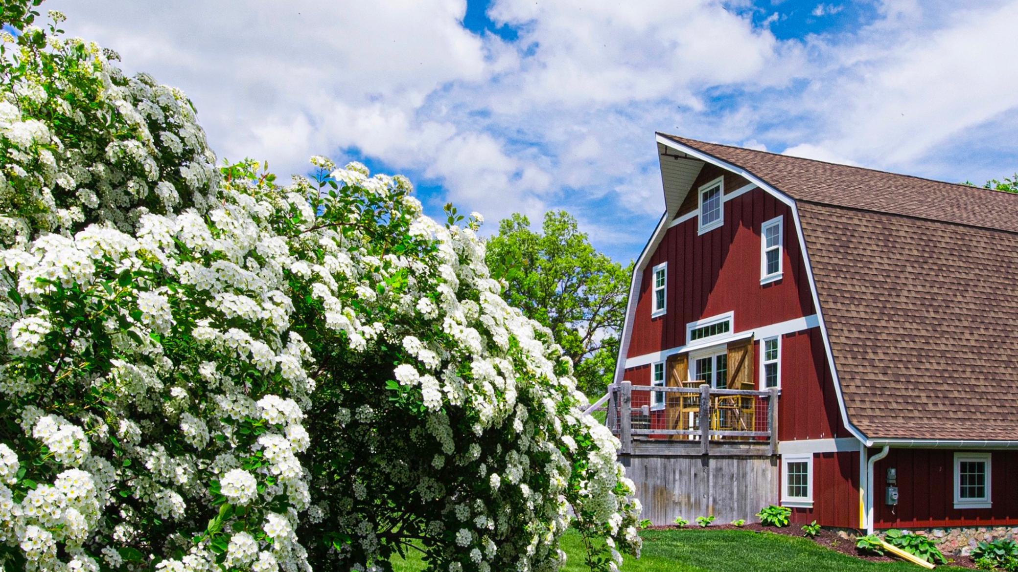 The Barn + Spring Bridals Wreath.jpg