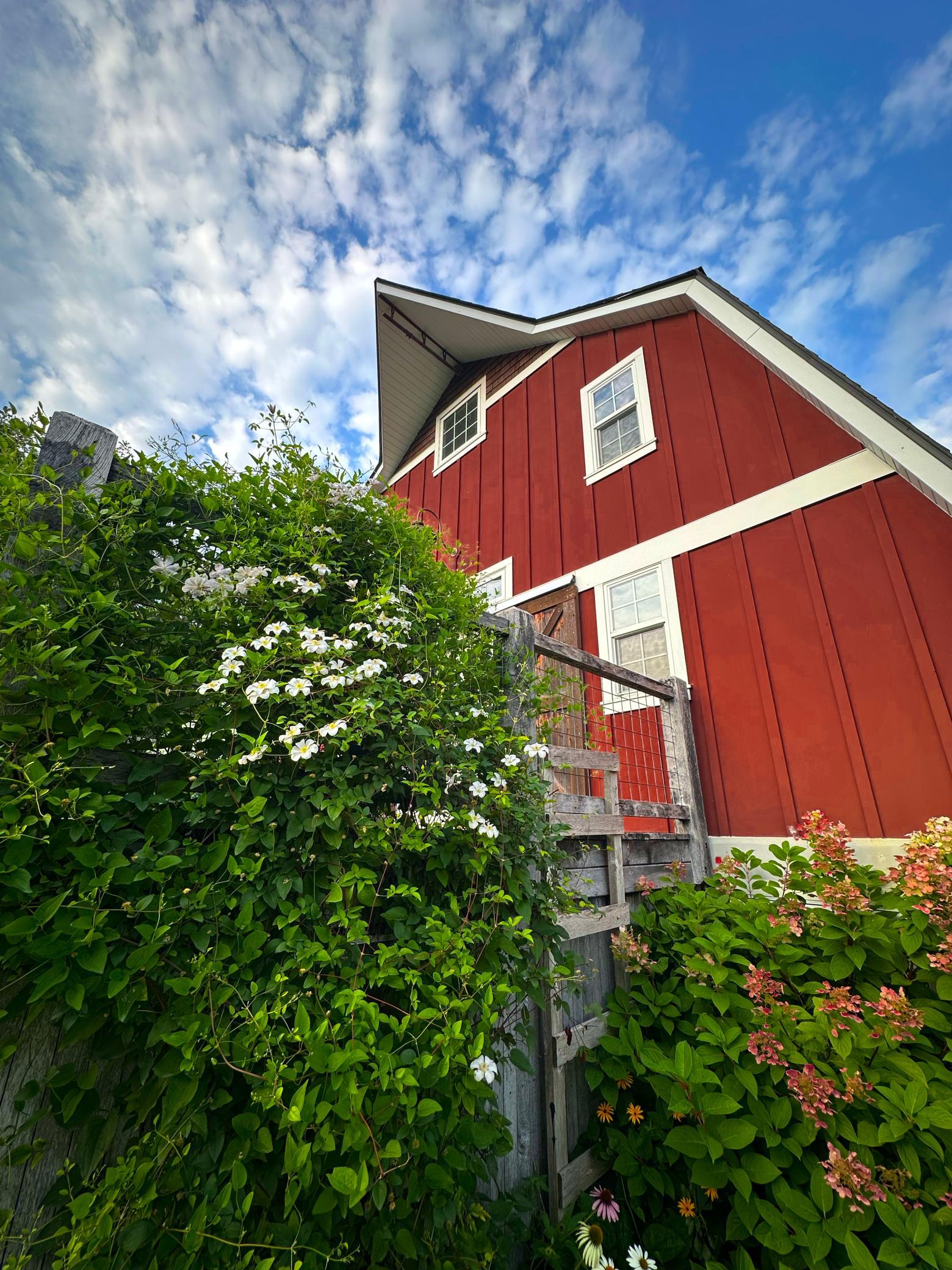 The Barn_Flowers.jpg