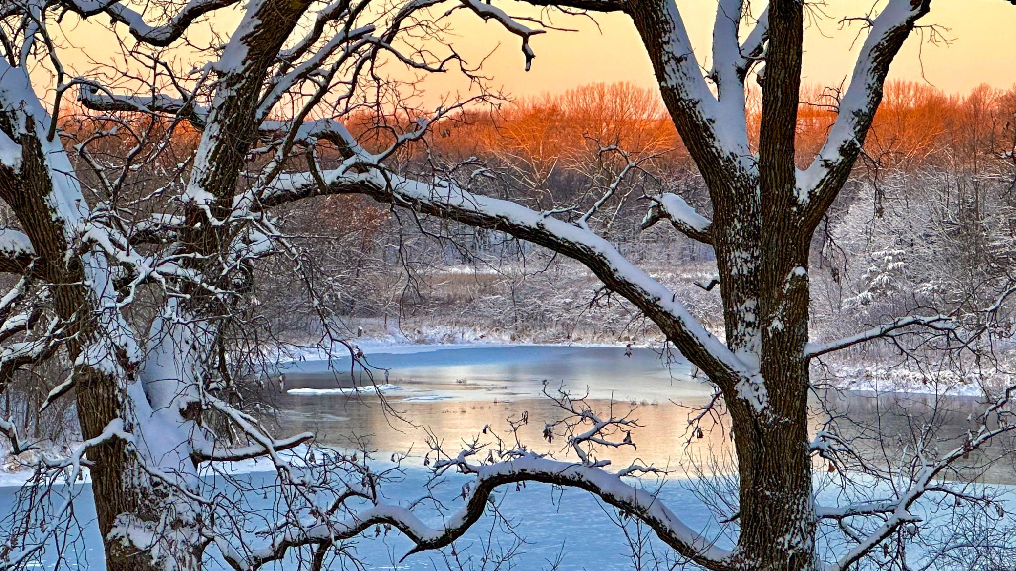 winter_the south pond 2.jpg
