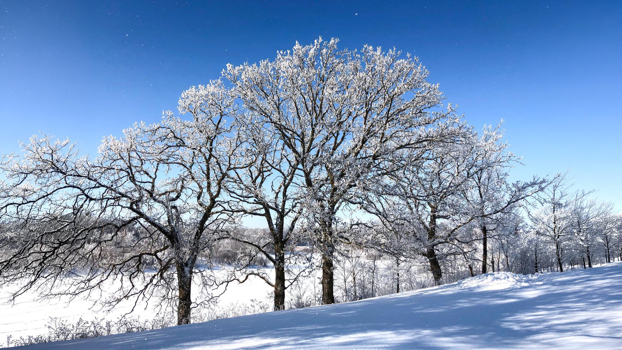 winter_the south pond.jpg
