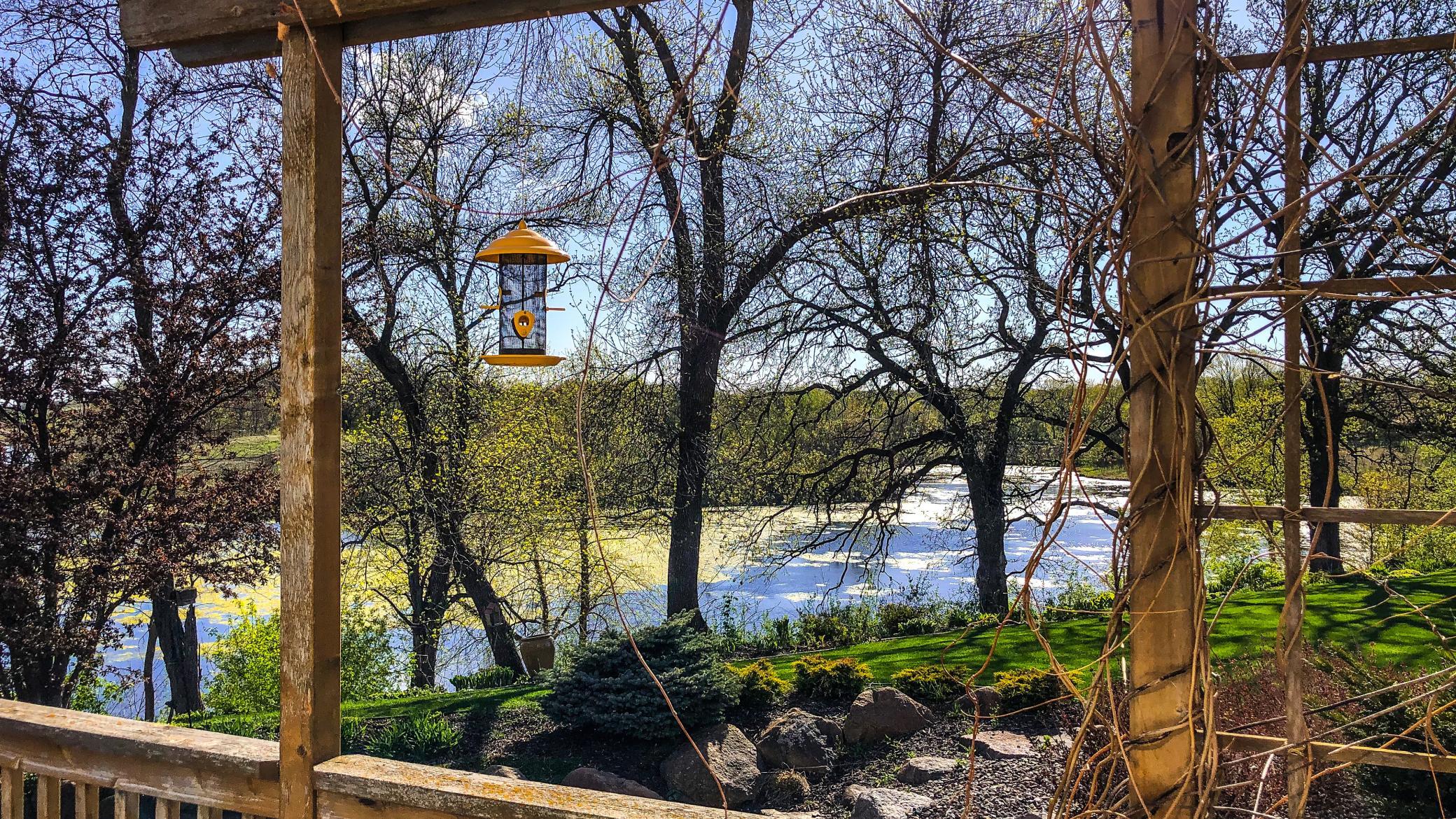 Spring_South pond.jpg