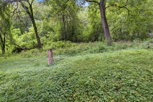 149 E Lake Blvd (22).jpg