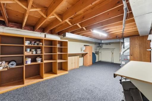 Storage room doubles as a mechanical room.