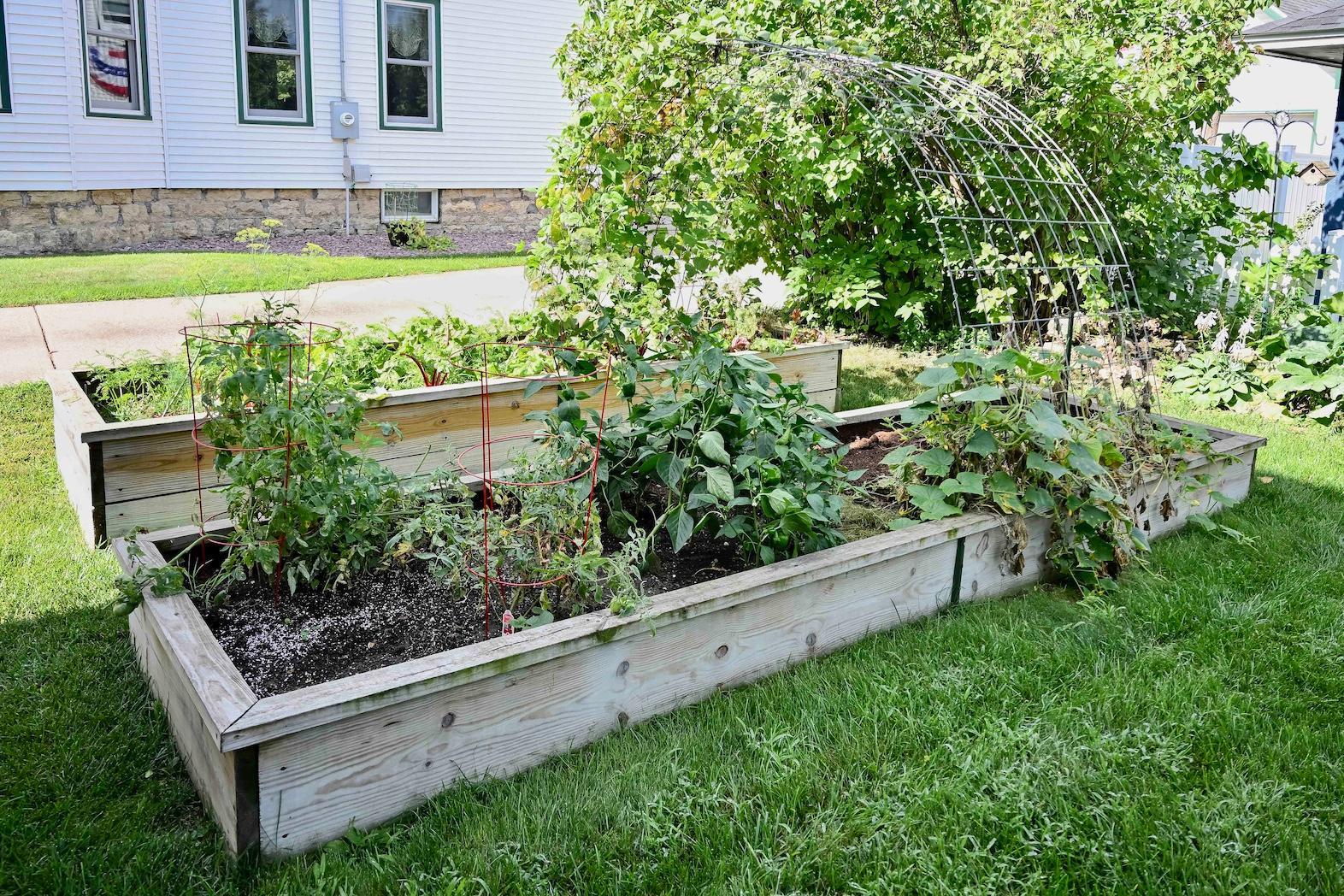Raised Garden Beds