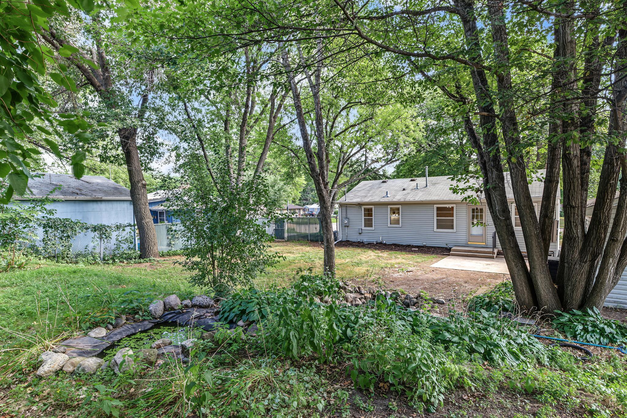 Back yard