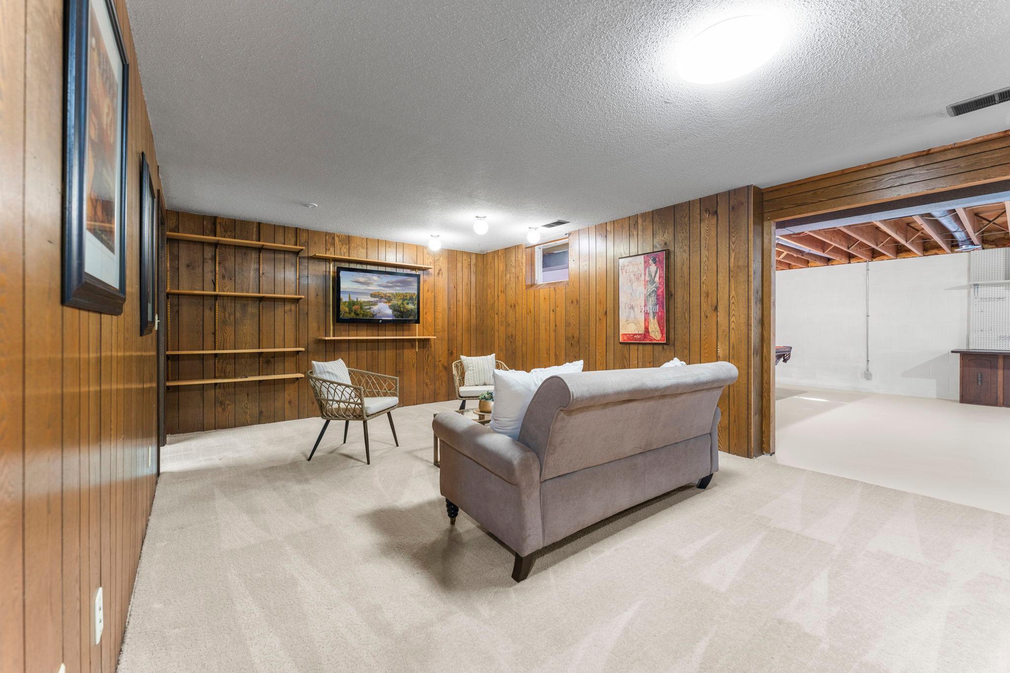 Lower level family room